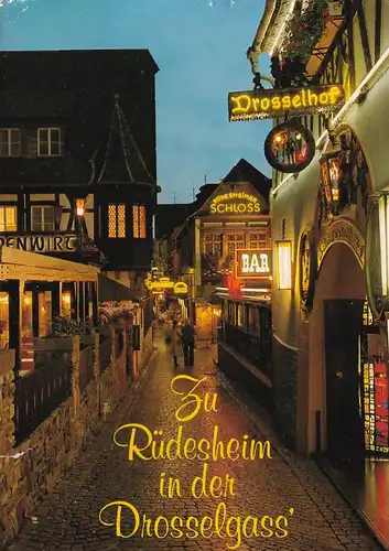 2869 - Deutschland - Rüdesheim am Rhein , Drosselgasse , Drosselhof , Mehrbildkarte - gelaufen 1995