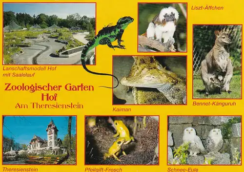 2884 - Deutschland - Zoologischer Garten Hof am Theresienstein , Mehrbildkarte - nicht gelaufen