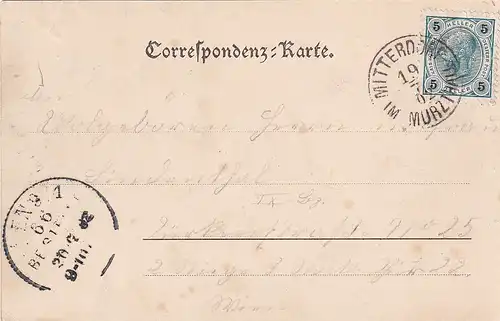 2962 - Österreich - Steiermark , Mitterdorf im Mürztal , Mürzthal - gelaufen 1902