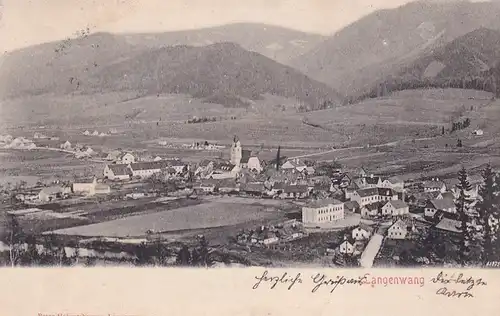 2967 - Österreich - Steiermark , Langenwang , Panorama - gelaufen 1901