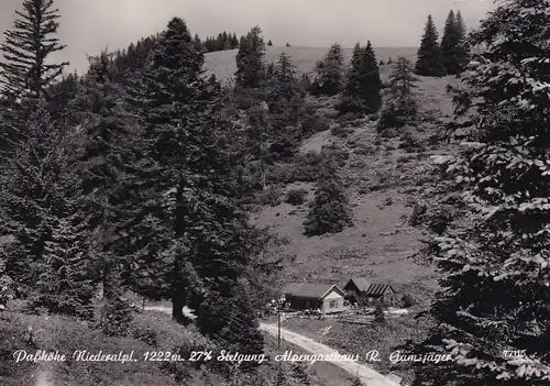 2975 - Österreich - Steiermark , Passhöhe Niederalpl , Alpengasthaus R. Gamsjäger - gelaufen 1969