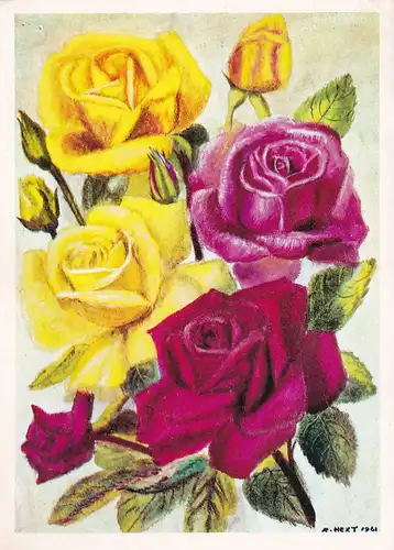 2990 - Österreich - Rosen , Blumen , Künstlerkarte , R. Hext - gelaufen 1969