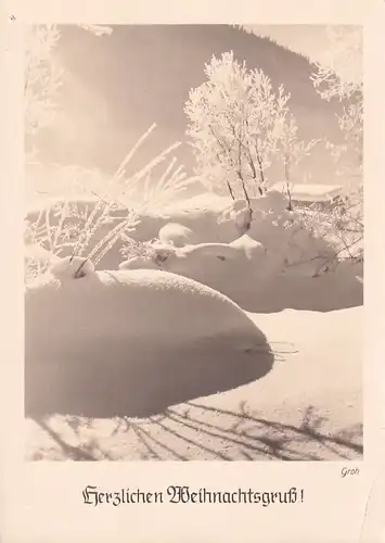 3075 - Österreich - Herzlichen Weihnachtsgruß , Winterlandschaft - gelaufen 1966