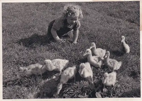 3094 -  - Kind mit jungen Gänsen - nicht gelaufen