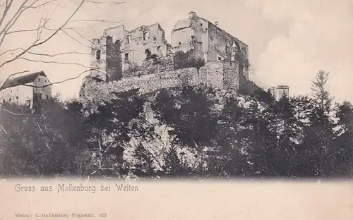 3138 - Österreich - Niederösterreich , Mollenburg bei Weiten , Ruine Burgruine - nicht gelaufen