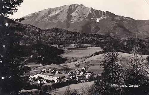 3144 - Österreich - Niederösterreich , Mitterbach , Ötscher , Panorama - gelaufen 1961