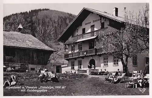 3191 - Österreich - Salzburg , Alpenhotel und Pension Zistelalpe mit Gaisbergspitze , M. Hauser - nicht gelaufen