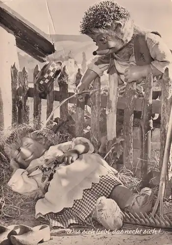 3345 -  - Mecki , Was sich liebt das neckt sich - gelaufen