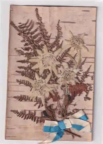 3405 -  - Edelweiss auf Birkenrinde mit Schleife , (echte getrocknete Blume)