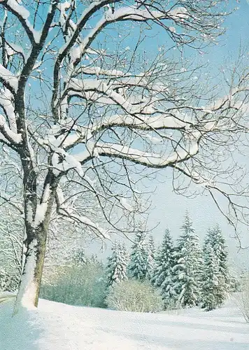 3414 -  - Verschneite Winterlandschaft , SOS Kinderdorf - gelaufen 1978