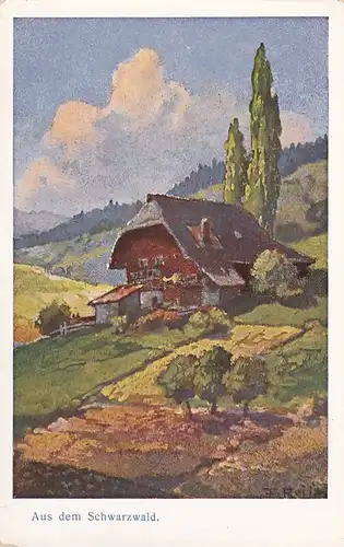 3467 -  - F. Reijs , Aus dem Schwarzwald , signiert - nicht gelaufen