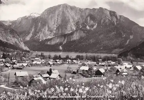 3614 - Österreich - Steiermark , Alt Aussee , Narzissenwiese mit Trisselwand - gelaufen