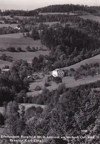 3626 - Österreich - Steiermark , Burgfeld bei St. Lorenzen am Wechsel , Pension Karl Zingl - gelaufen