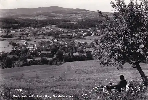 3628 - Österreich - Steiermark , Lafnitz , Ost Steiermark , Sommerfrische - gelaufen