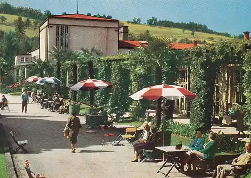 3649 - Österreich - Oberösterreich , Bad Schallerbach , Kurhaus , Palmengarten - gelaufen 1965