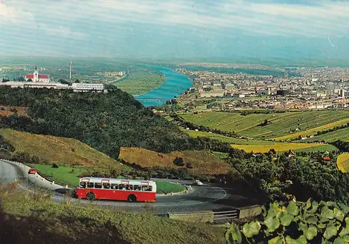 3661 - Österreich - Wien , Kahlenberg mit Höhenstraße und Blick auf Wien , Bus - gelaufen 1982