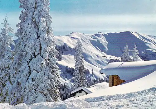 3670 - Österreich - Tirol , Kitzbühel Hahnenkamm , Blick auf Steinbergkogel und Griesalm Hänge - gelaufen