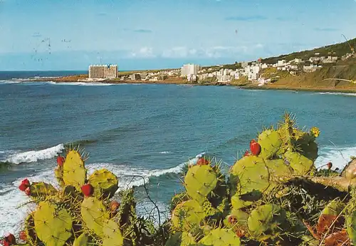 3719 - Spanien - Bajamar , Punta del Hidalgo desde Bajamar , Kaktus - gelaufen 1977