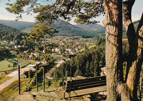 3826 - Deutschland - Herrenalb im Schwarzwald , Blick vom Falkenstein - gelaufen 1968