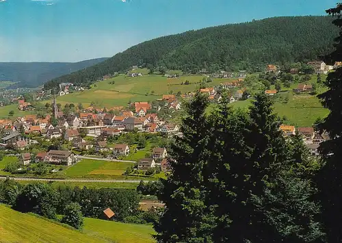 3828 - Deutschland - Baiersbronn im Schwarzwald , Panorama - gelaufen 1974