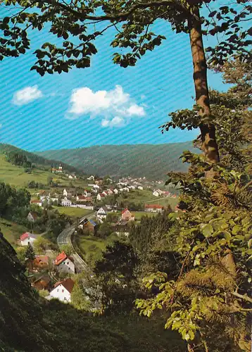 3941 - Deutschland - Warmensteinbach im Fichtelgebirge , Blick vom Höllfelsen - gelaufen 1972