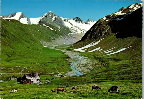 4263 - Tirol , Schönwieshütte mit Hochfirst , Kirchenkogl und Rotmoostal bei Obergurgl , Ötztal - nicht gelaufen