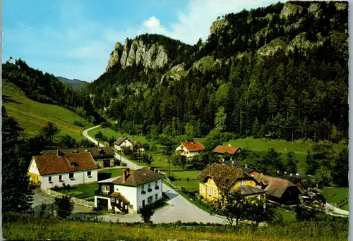 4496 - Semmering Adlitzgraben gegen Polleroswand A. Lillings Gasthaus Blunzenwirt - nicht gelaufen