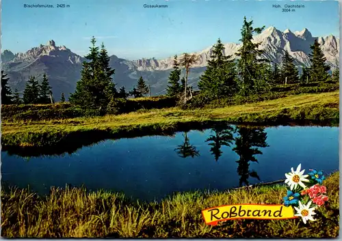 4542 - Salzburg - Roßbrand , Radstadt , Bischofsmütze , Gosaukamm , Dachstein - nicht gelaufen
