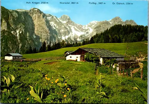 4580 - Salzburg - Bliendeckalm oberhalb Werfen auf dem Weg zur Ostpreußenhütte , Hochköniggebiet - nicht gelaufen