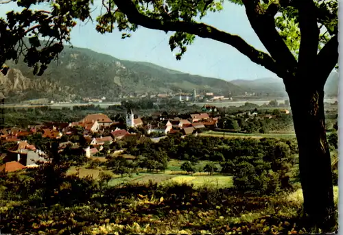 4632 - Niederösterreich - Rossatz in der Wachau , Panorama - gelaufen 1963