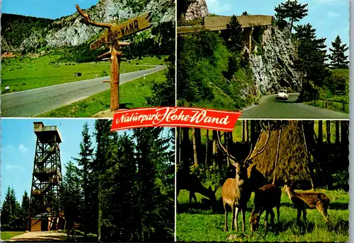 4642 - Niederösterreich - Hohe Wand , Naturpark , Bergstraße Hohe Wand , Aussichtswarte am Bromberg , Hirschgehege - nicht gelaufen