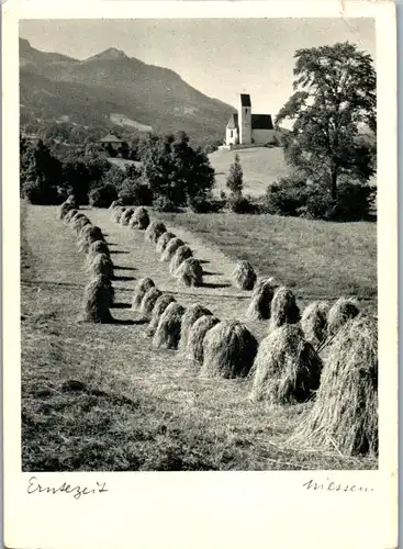 4676 - Niederösterreich - Erntezeit , Heuernte - gelaufen