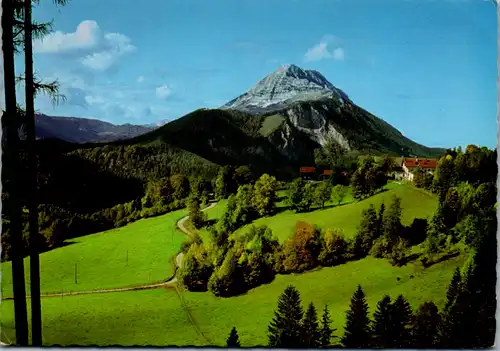 4736 - Niederösterreich , Naturpark Ötscher , Tormäuer , Blick vom Gösing - nicht gelaufen