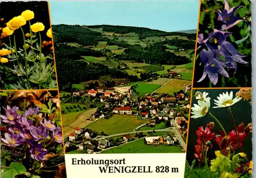 4872  - Steiermark , Wenigzell , Sommerfrische - nicht gelaufen