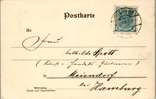 5072  - Wien , K. k. Universität , Liebenberg Denkmal , Silbernagel - gelaufen 1905