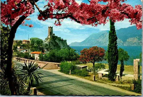 5096 Italien - Malcesine , Il Castello , Lago di Garda , Gardasee , Schloss - gelaufen