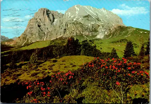 5102 Italien - Alpe di Suisi verso  il Gr. Sassolungo , Seiser Alm gegen Langkofelgruppe , Dolomoten - gelaufen 1973