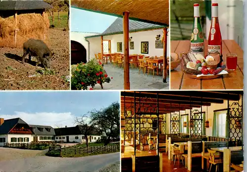 5239  - Steiermark , St. Johann bei Herberstein , Buschenschank Gut Herberstein - gelaufen 1970