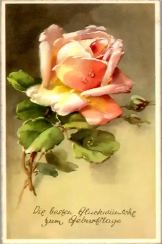 5294  - Die besten Glückwünsche zum Geburtstage , Rose - gelaufen 1961