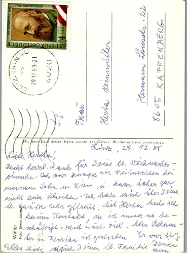5307  - Motiv , Sträucher Beeren im Winter - gelaufen 1989