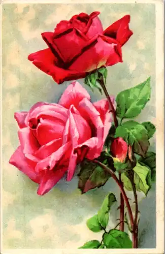 5309  - Feldpost , Blumen , Rosen - gelaufen 1944
