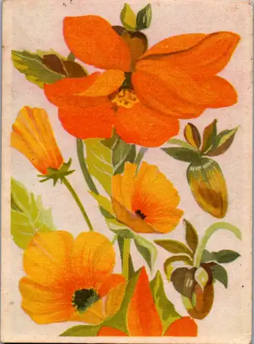 5311  - Blumen - gelaufen 1944