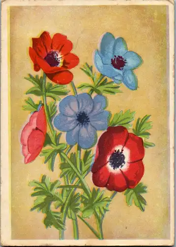 5313  - Blumen - gelaufen 1944