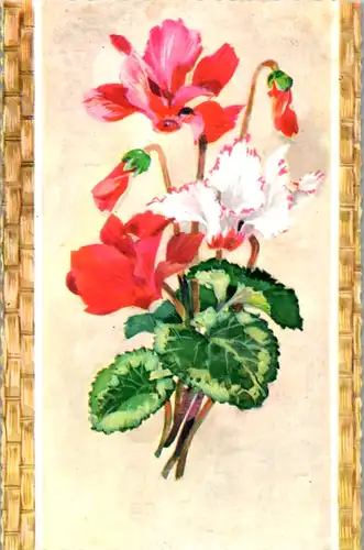 5317  - Blumen - nicht gelaufen