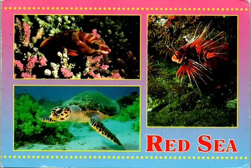 5640 - Ägypten - Egypt , The Wonders of the Red Sea - gelaufen