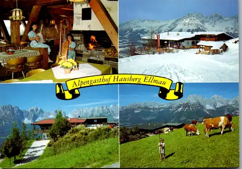 5958 - Tirol - Ellmau , Alpengasthof Hausberg , Fam. Dengg - gelaufen 1996