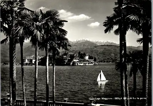 6067 - Italien - Isola Bella fra le palme , Lago Maggiore  - gelaufen 1961