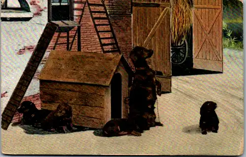 6268 - Indien - Bombay , Dogs - gelaufen 1913