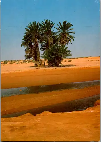 6336 - Tunesien - Le Sahara , Wüste , Palmen , Oase - gelaufen 2001
