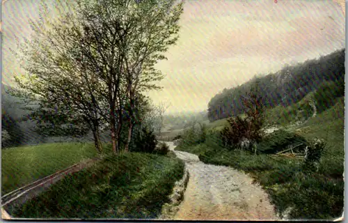 6353 - Künstlerkarte - Landschaft , Weg - gelaufen 1910